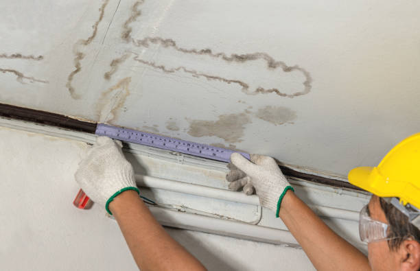 Reliable Basement Water Removal contractor in Vallejo, CA by Water Damage Irwin